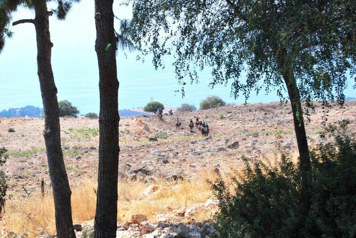 Vered Hagalil Holiday Village Hotel Chorazim Kültér fotó